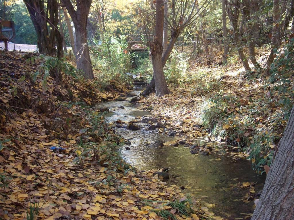 Cabanas Camping Sierra De Penascosa Zewnętrze zdjęcie